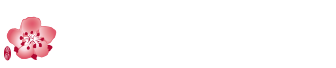 中華航空 China Airlines Logo